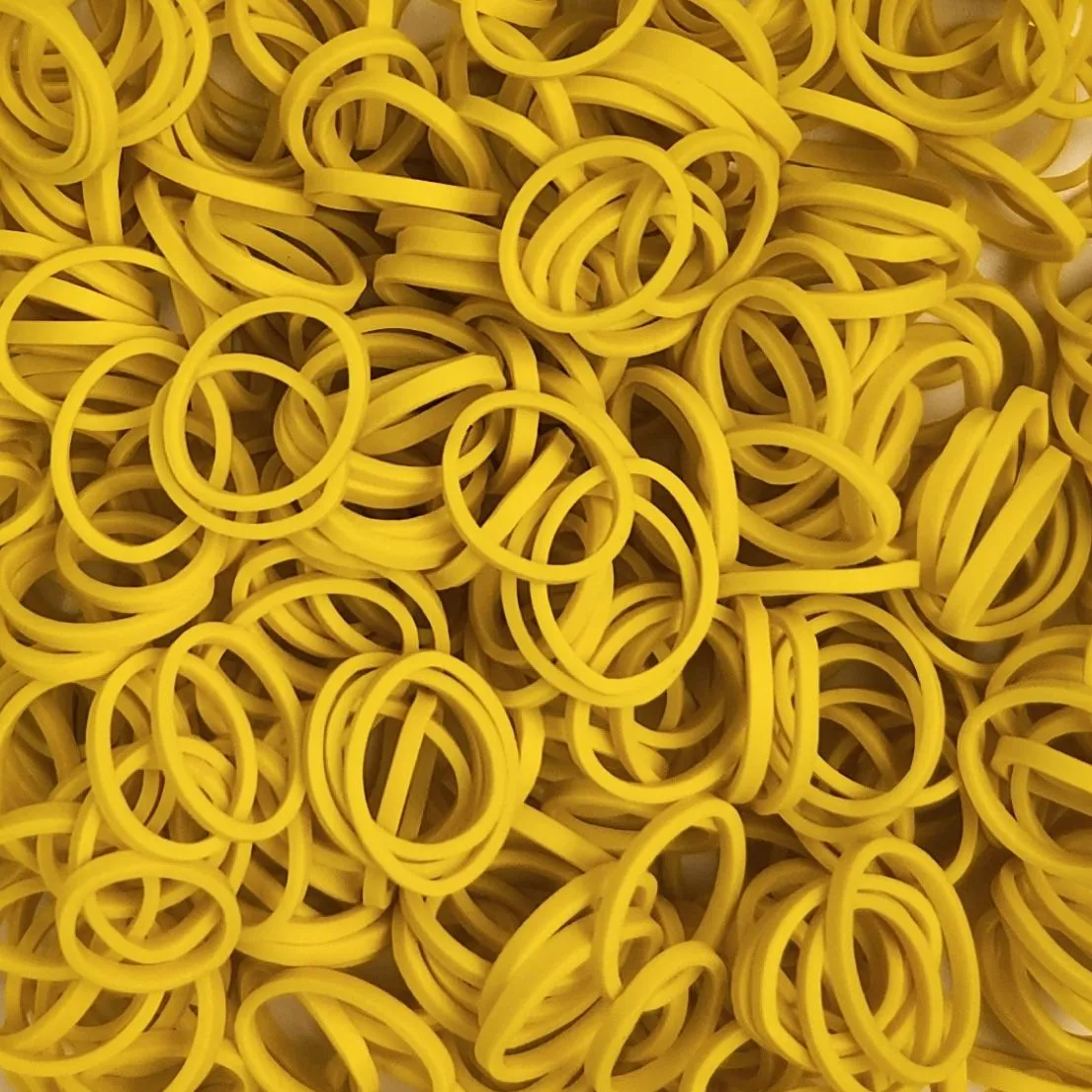 Amelia Beauty | 1/2in, 500ct Elastic Rubber Band Pony Tail Holders | Made in USA | Dozen Pack
