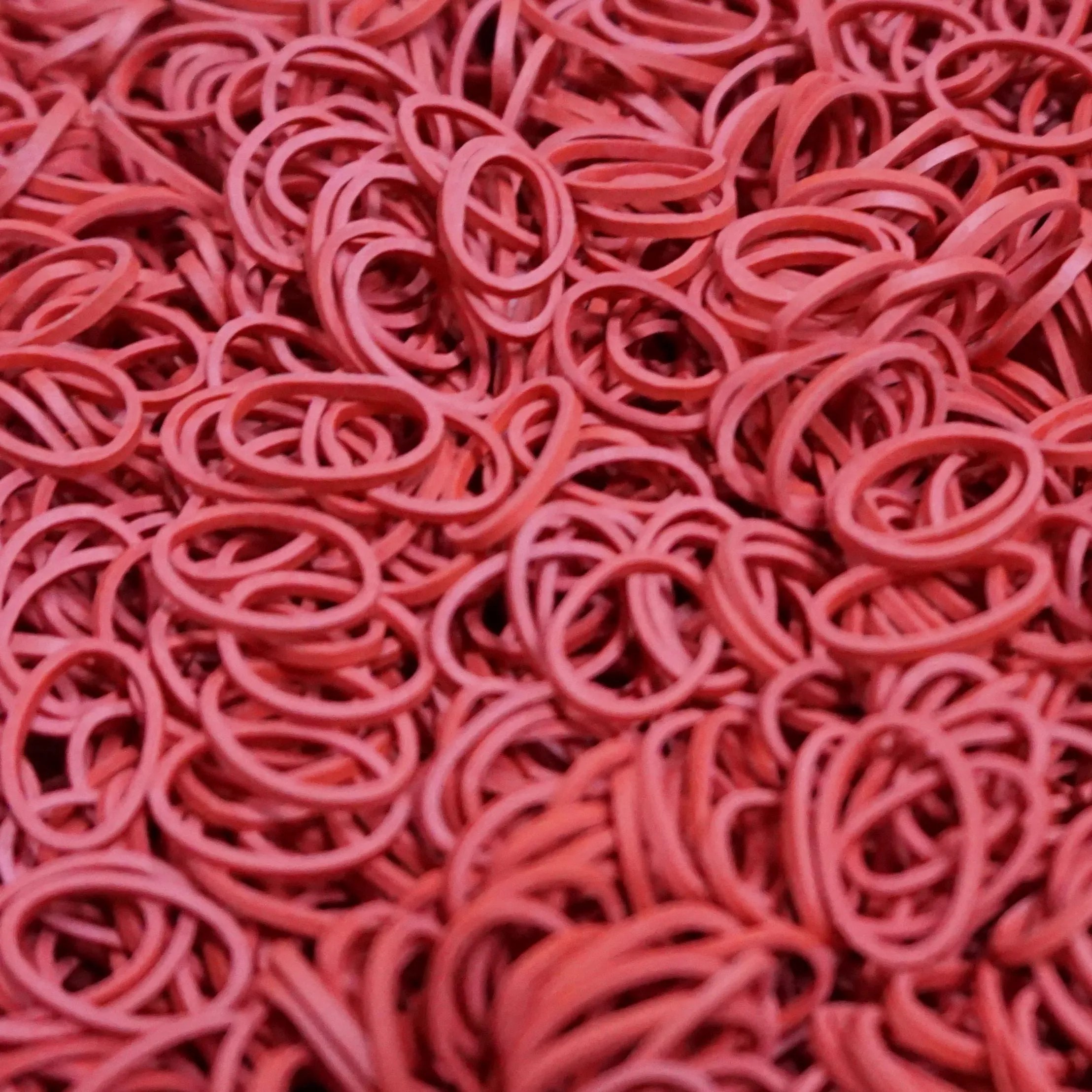 Amelia Beauty | 1/2in, 500ct Elastic Rubber Band Pony Tail Holders | Made in USA | Dozen Pack