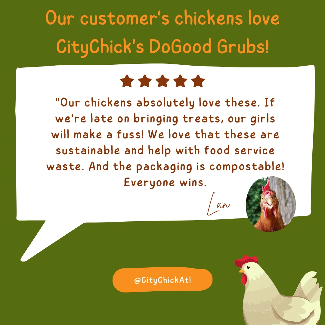 CityChick "DoGood" Grubs - 1.50 lb bag of Dried Black Soldier Fly larvae