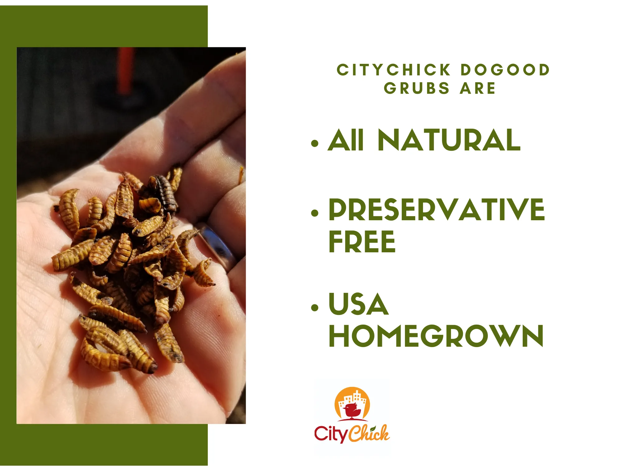 CityChick "DoGood" Grubs - 1.50 lb bag of Dried Black Soldier Fly larvae