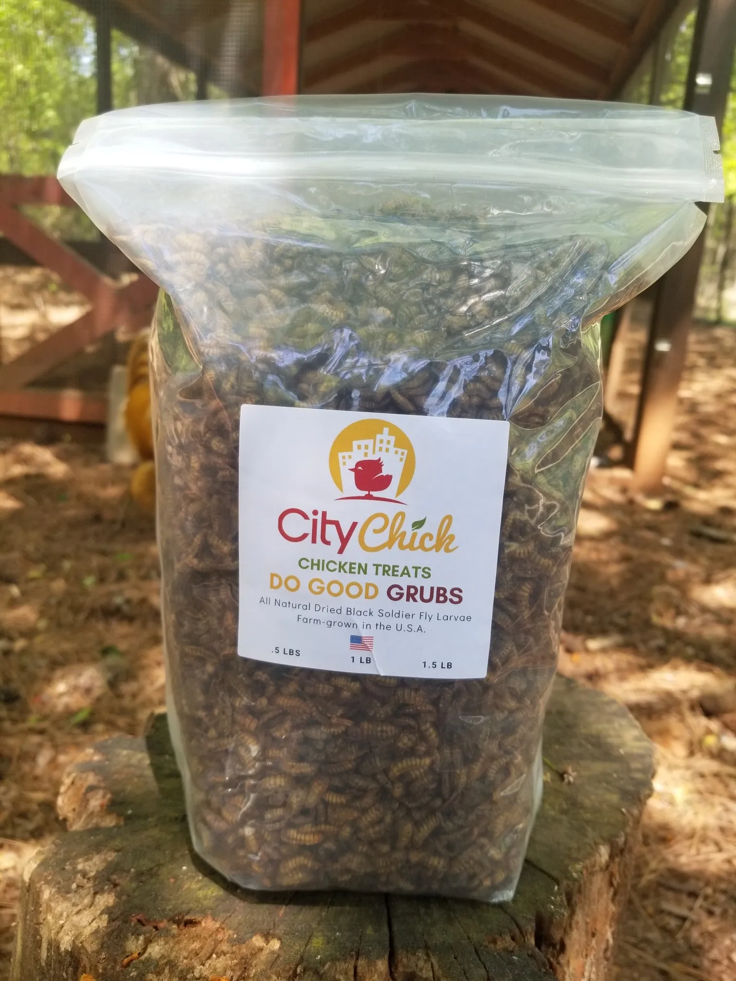 CityChick "DoGood" Grubs - 1.50 lb bag of Dried Black Soldier Fly larvae