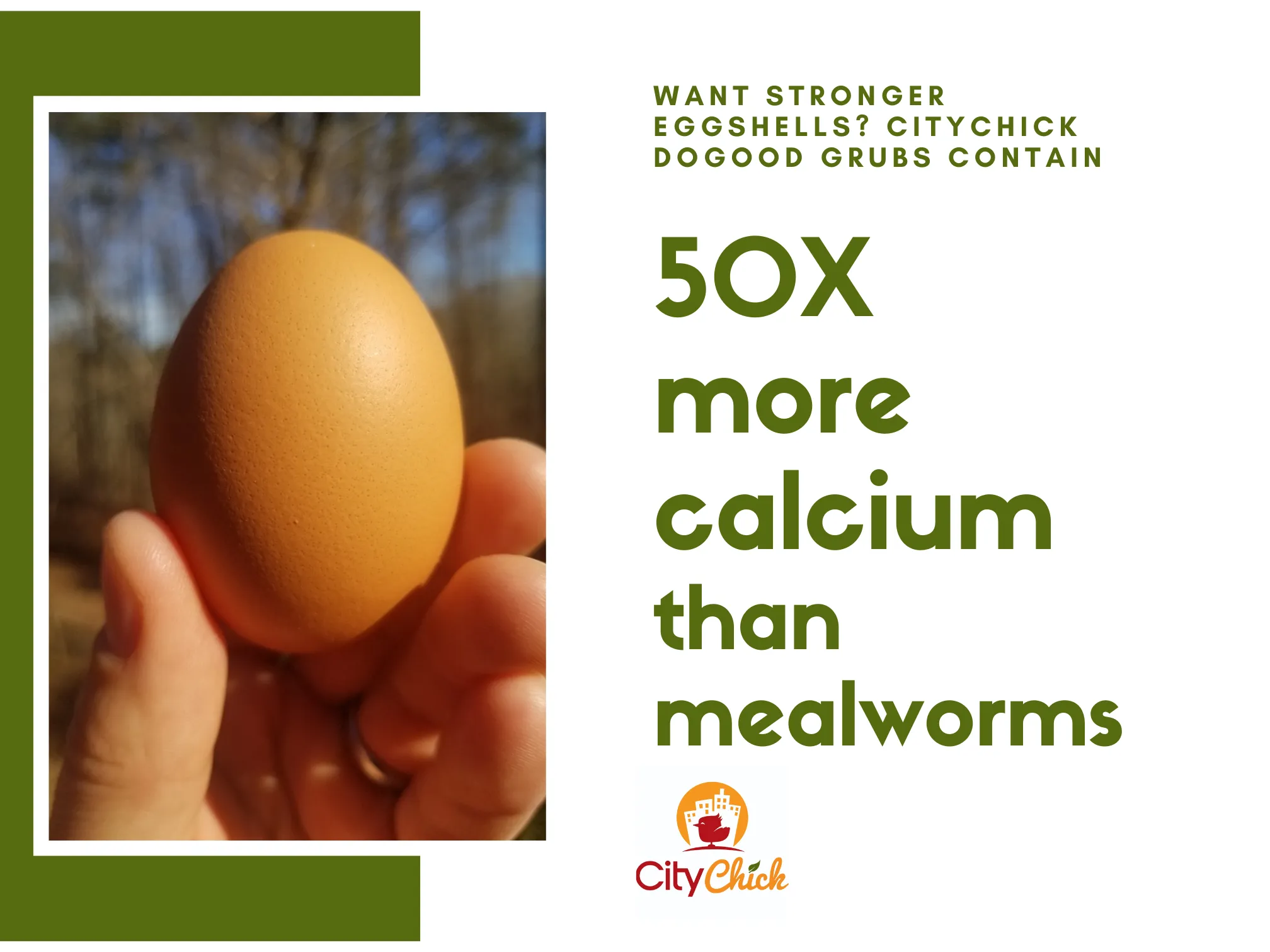 CityChick "DoGood" Grubs - Dried Black Soldier Fly larvae