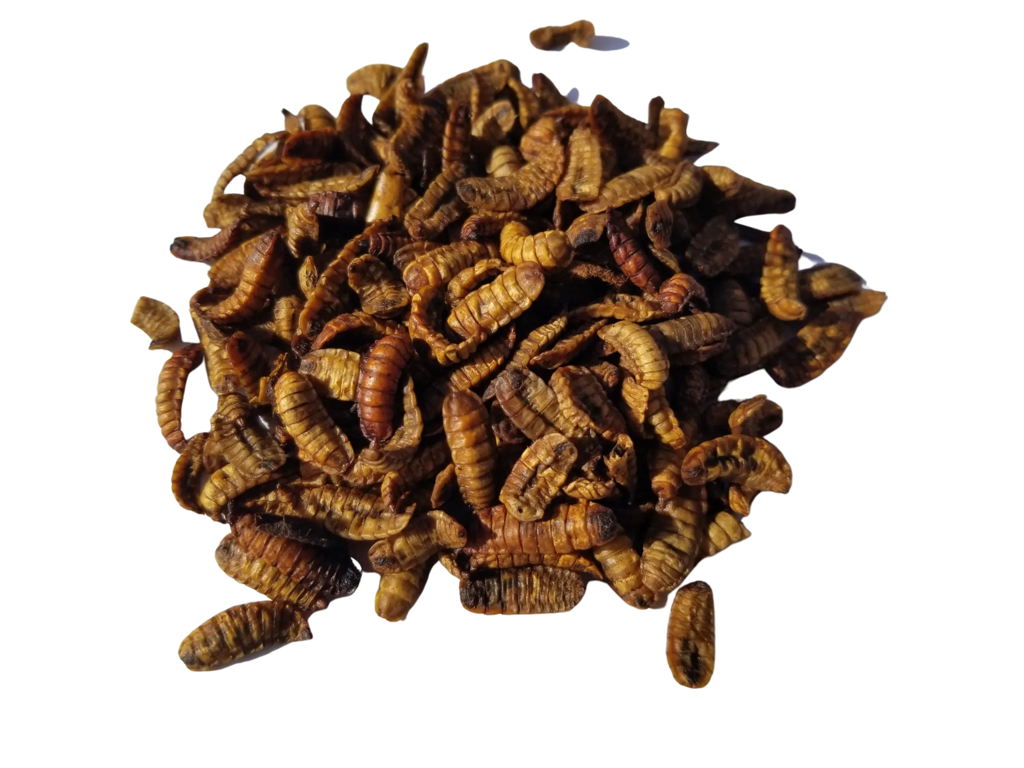 CityChick "DoGood" Grubs - Dried Black Soldier Fly larvae