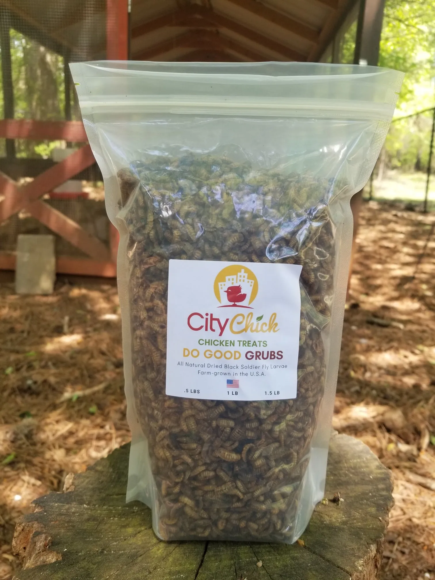 CityChick "DoGood" Grubs - Dried Black Soldier Fly larvae