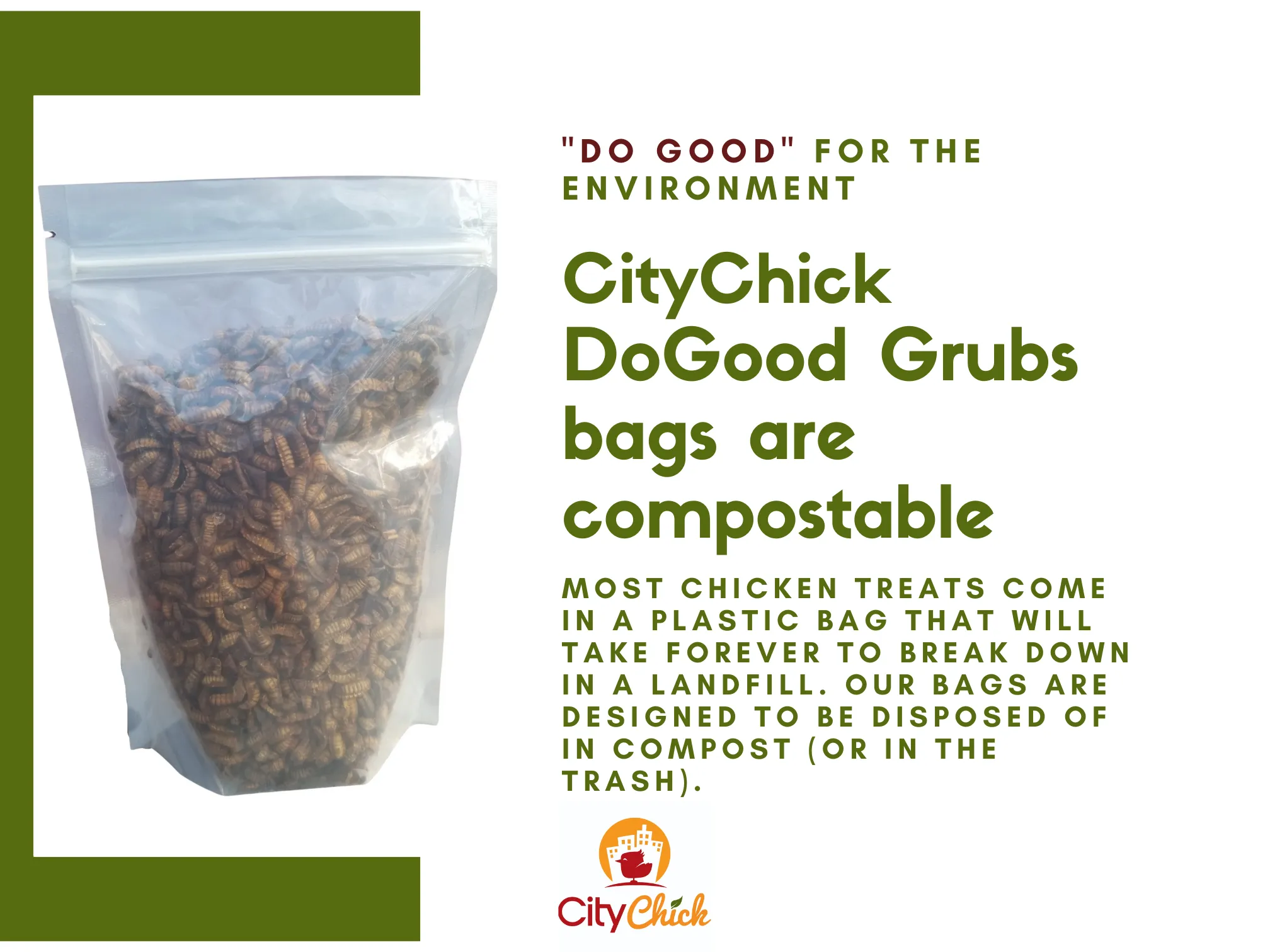 CityChick "DoGood" Grubs - Dried Black Soldier Fly larvae