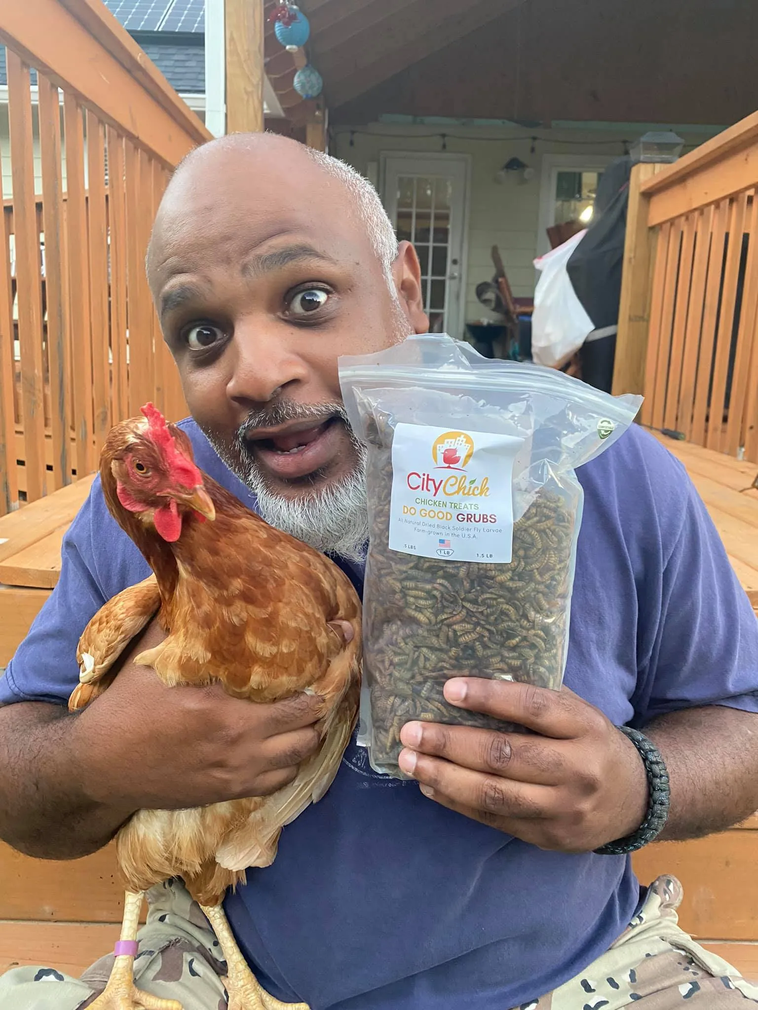 CityChick "DoGood" Grubs - Dried Black Soldier Fly larvae
