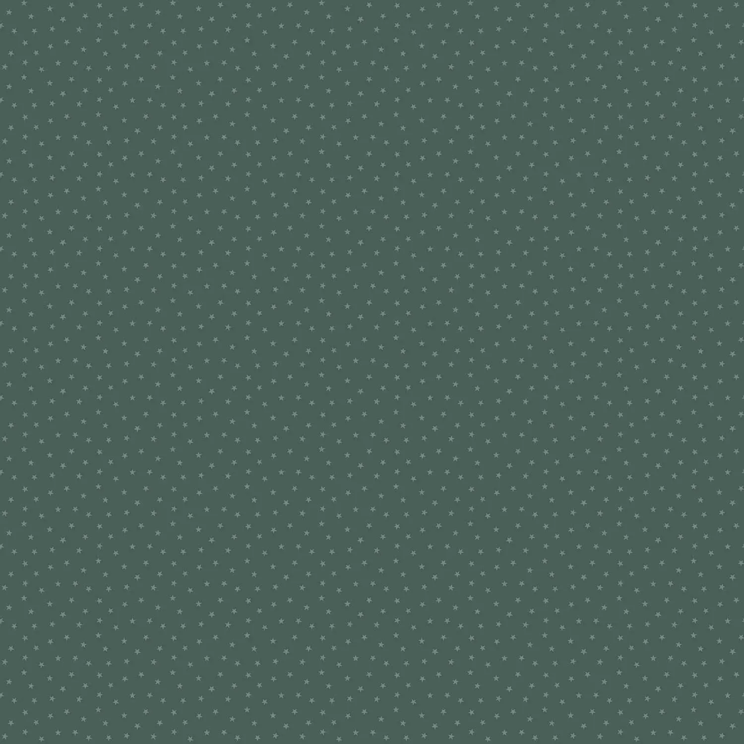 Edyta Sitar | Twinkle | Succulent