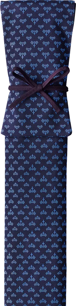 [IMPORTED SERIES] - HOUSEN Brand Shoubu Pattern Shinai Bag