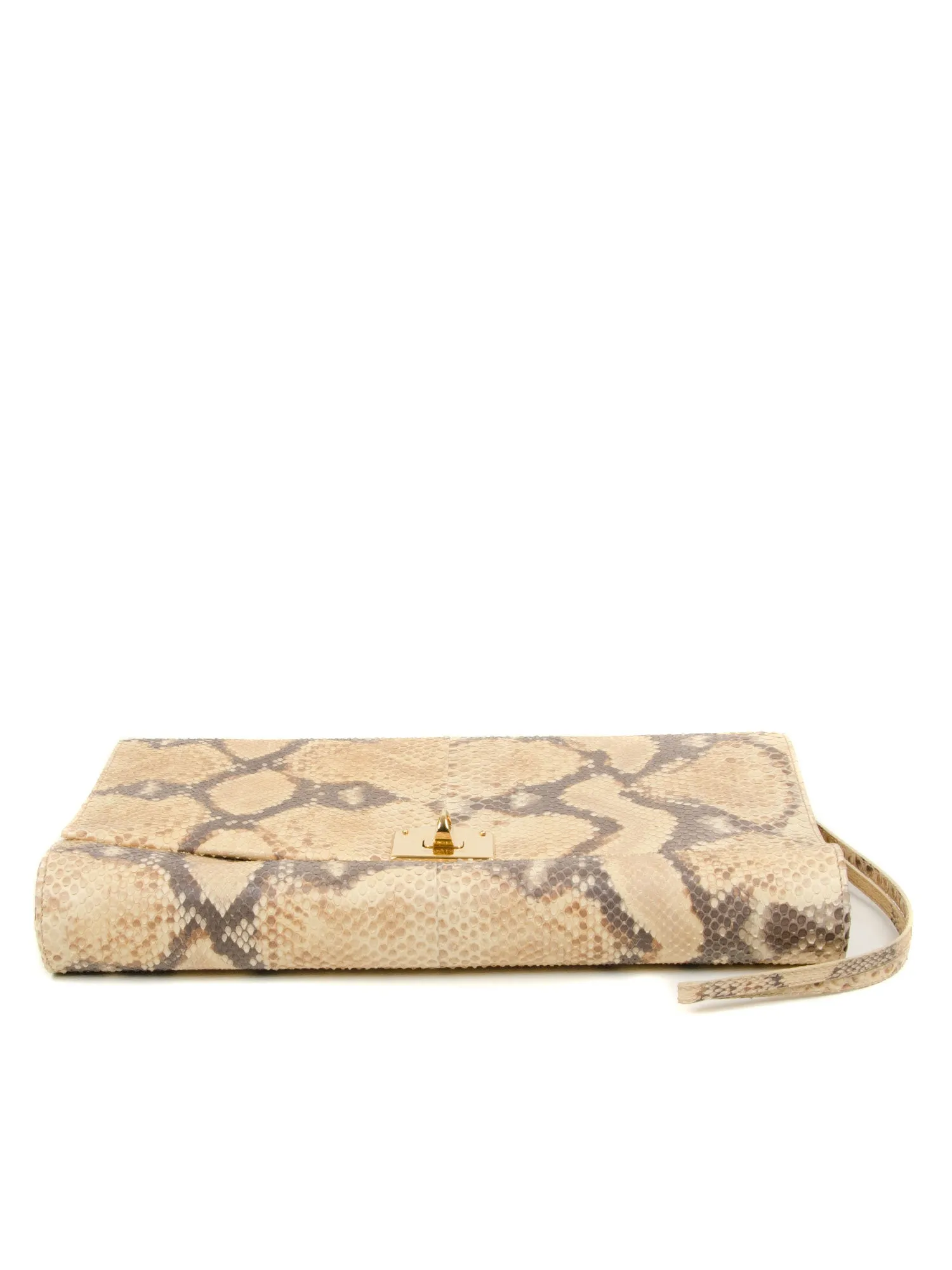 Large Snakeskin Clutch Bag