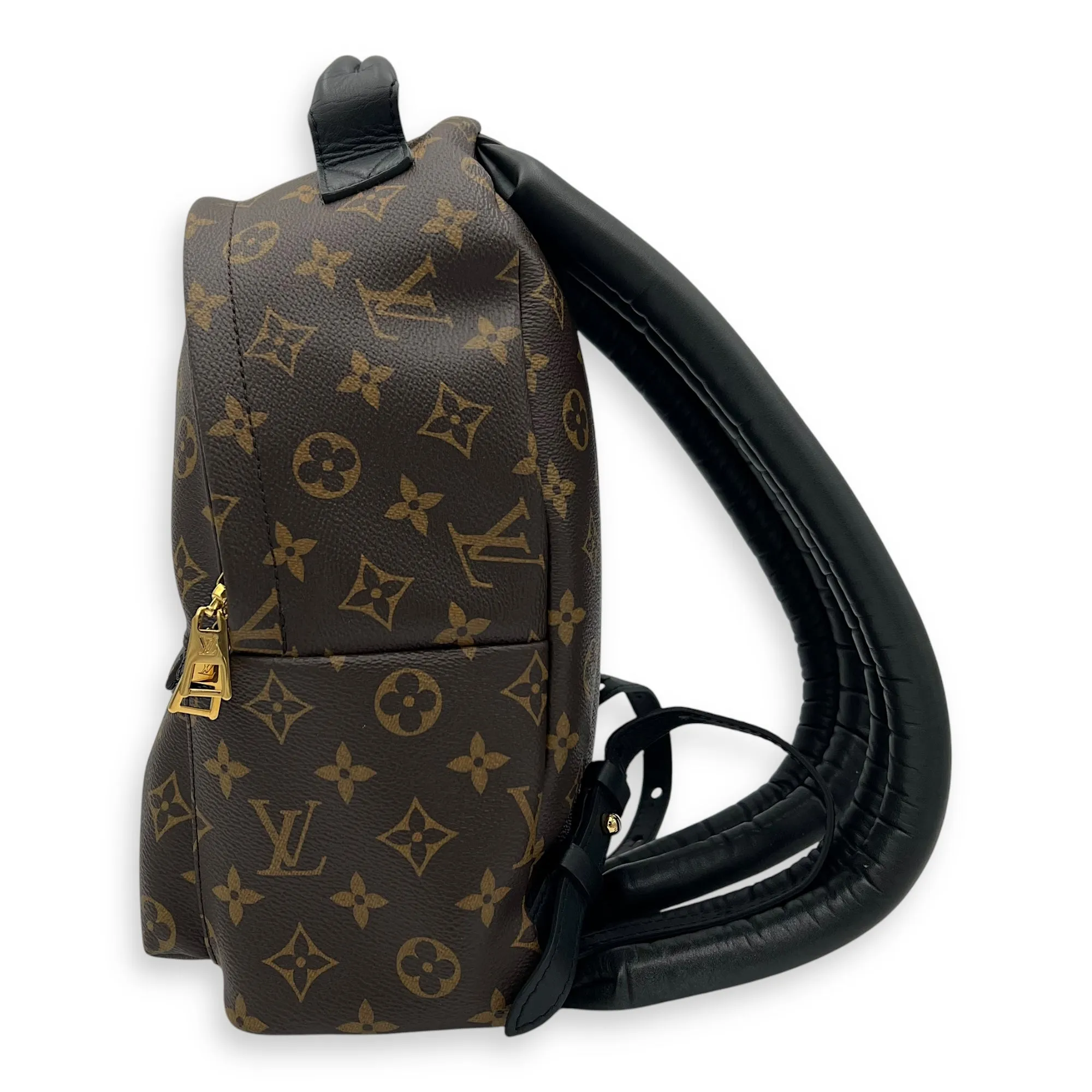 Palm Springs Backpack PM Brown in Monogram Coated Canvas, Gold hardware
