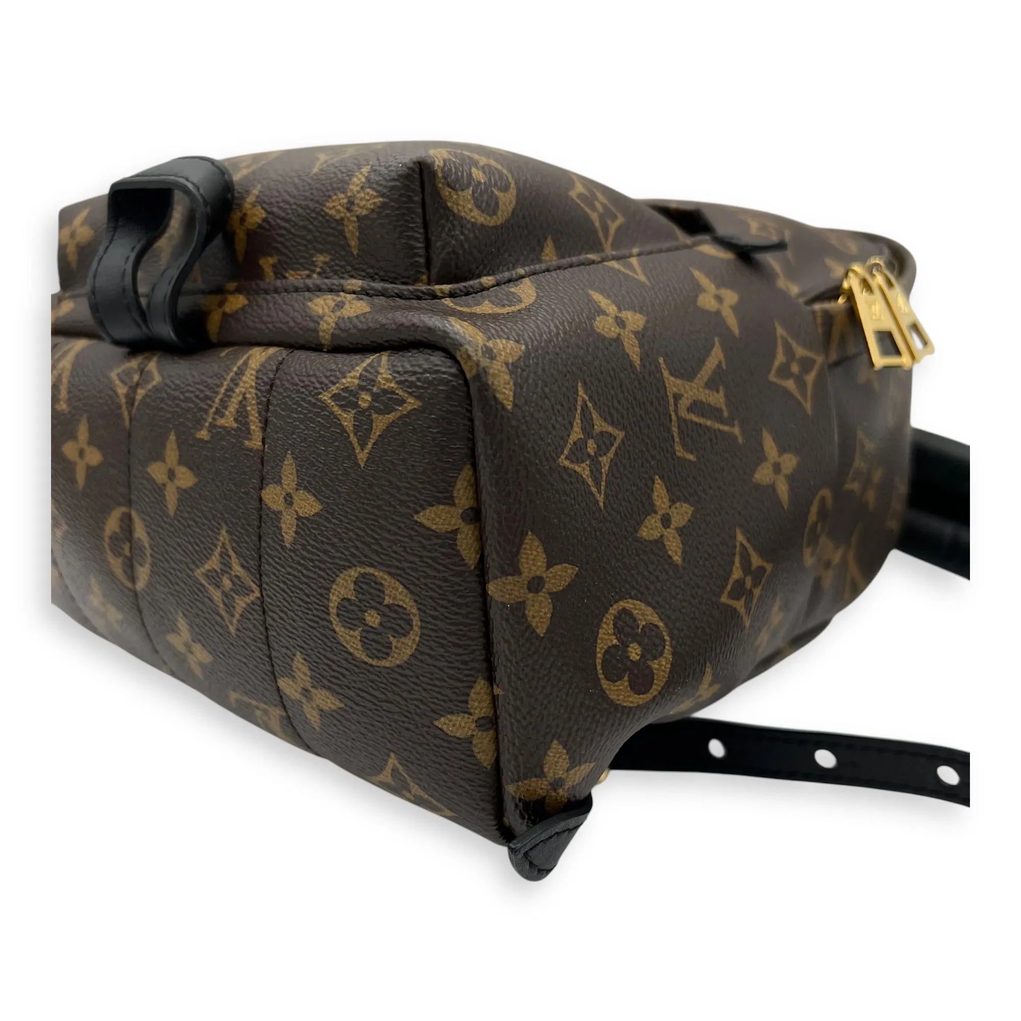 Palm Springs Backpack PM Brown in Monogram Coated Canvas, Gold hardware