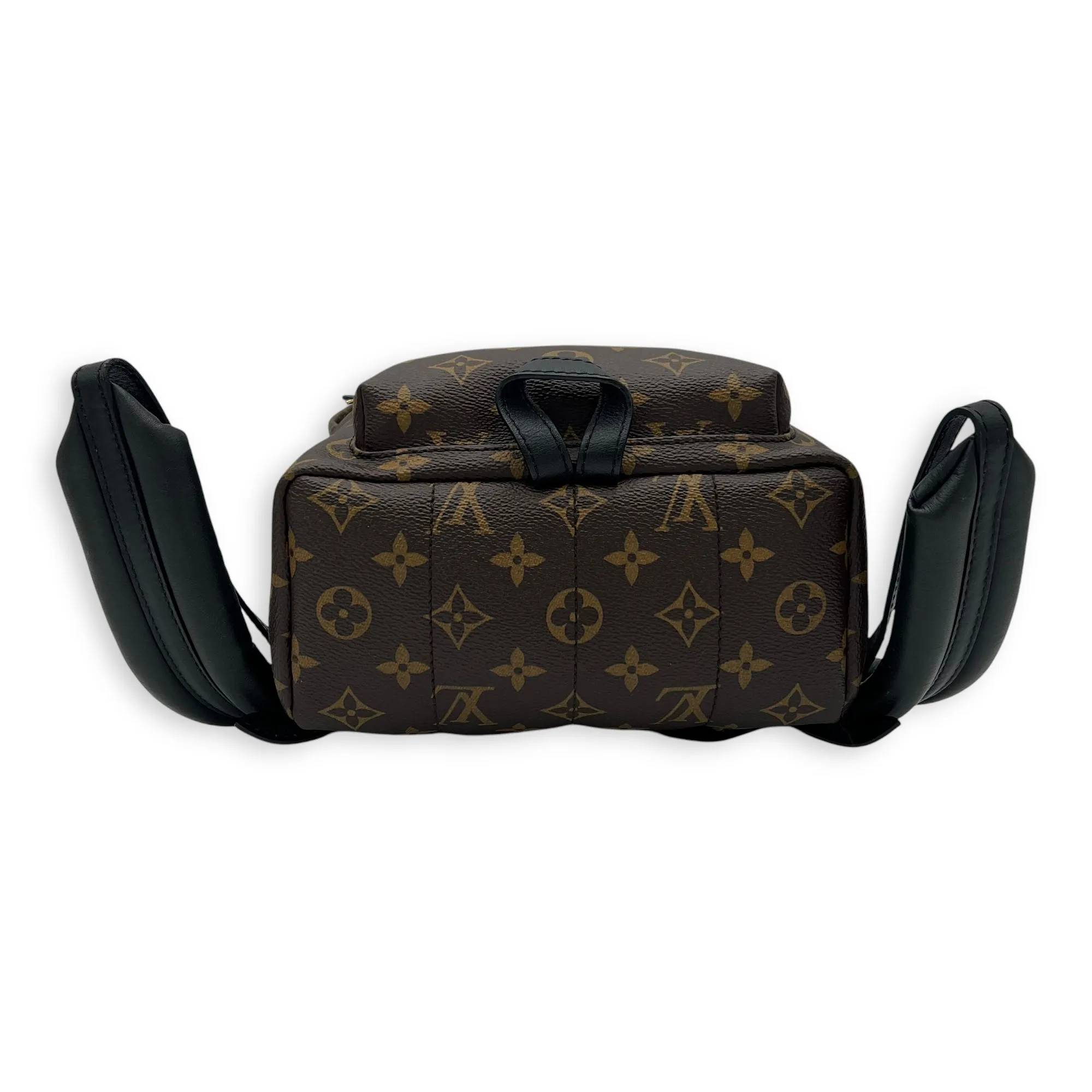 Palm Springs Backpack PM Brown in Monogram Coated Canvas, Gold hardware