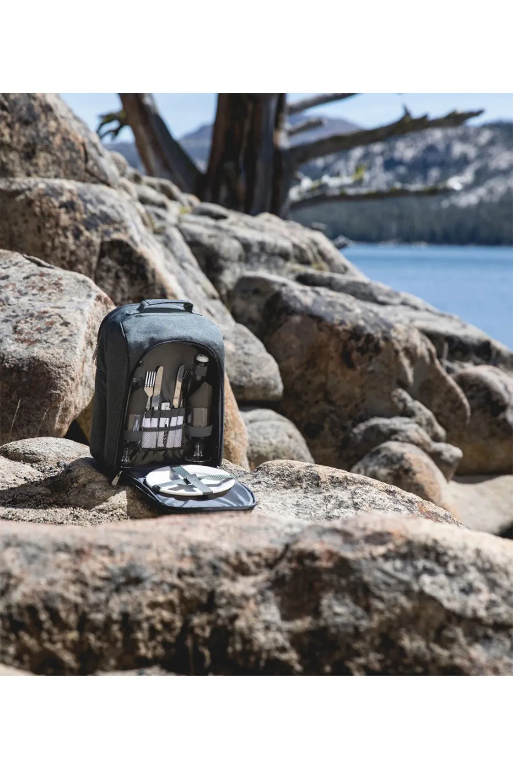 Picnic Cooler Backpack