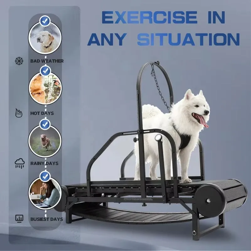 Revolutionary Pet Treadmill - Keep Your Dog Fit and Happy!