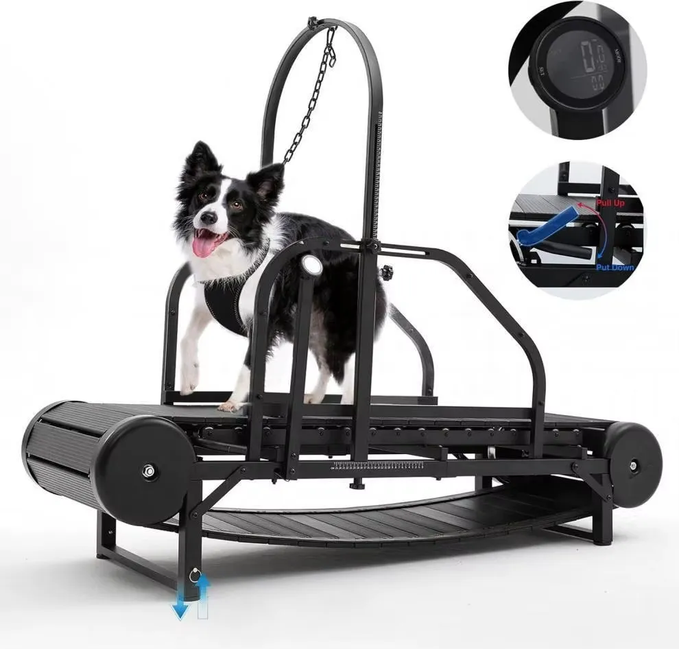 Revolutionary Pet Treadmill - Keep Your Dog Fit and Happy!