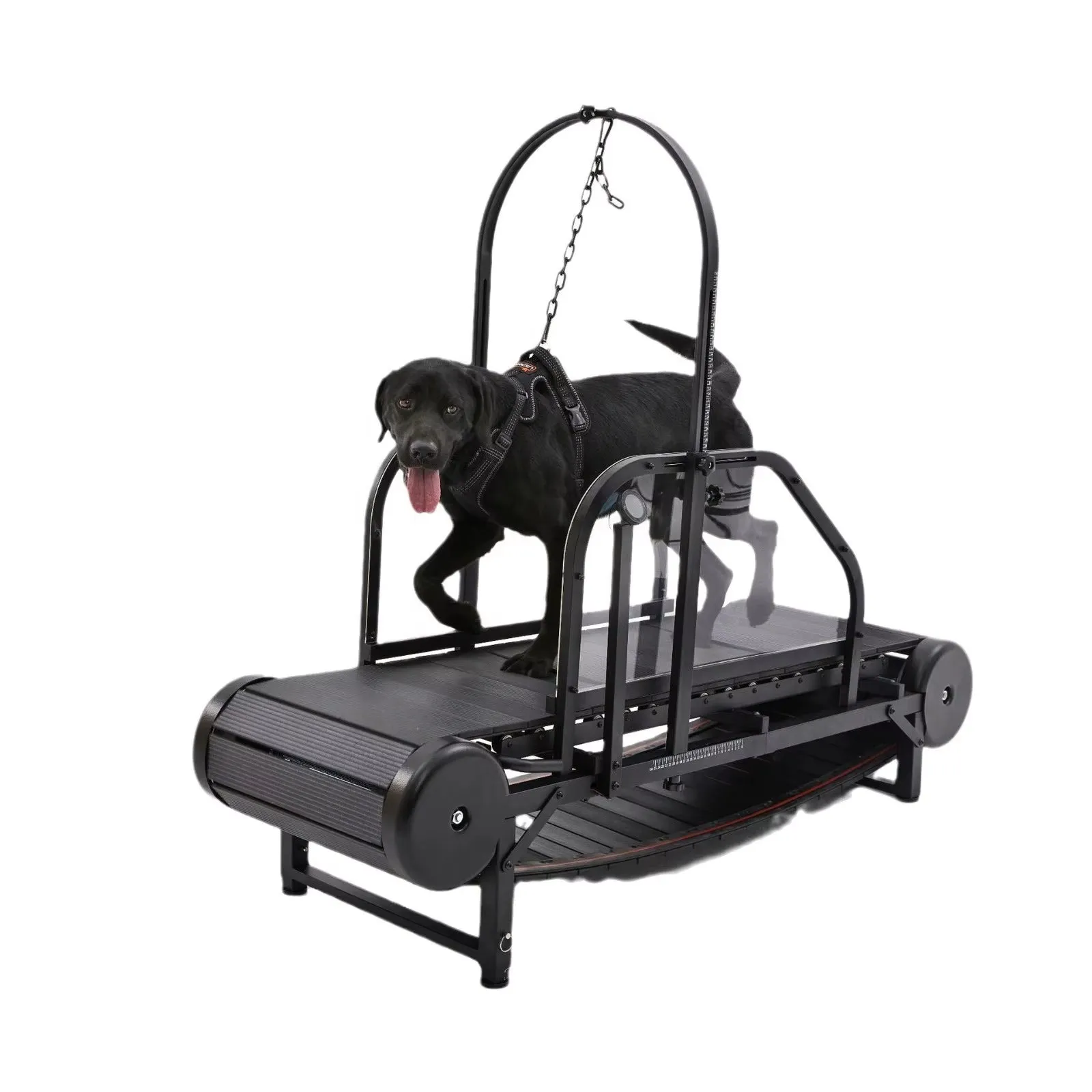 Revolutionary Pet Treadmill - Keep Your Dog Fit and Happy!