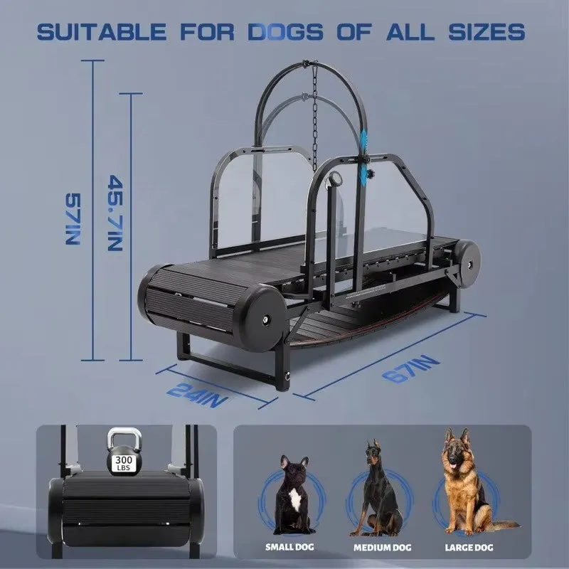 Revolutionary Pet Treadmill - Keep Your Dog Fit and Happy!