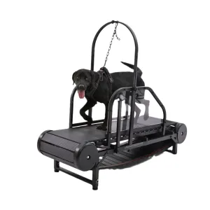 Revolutionary Pet Treadmill - Keep Your Dog Fit and Happy!