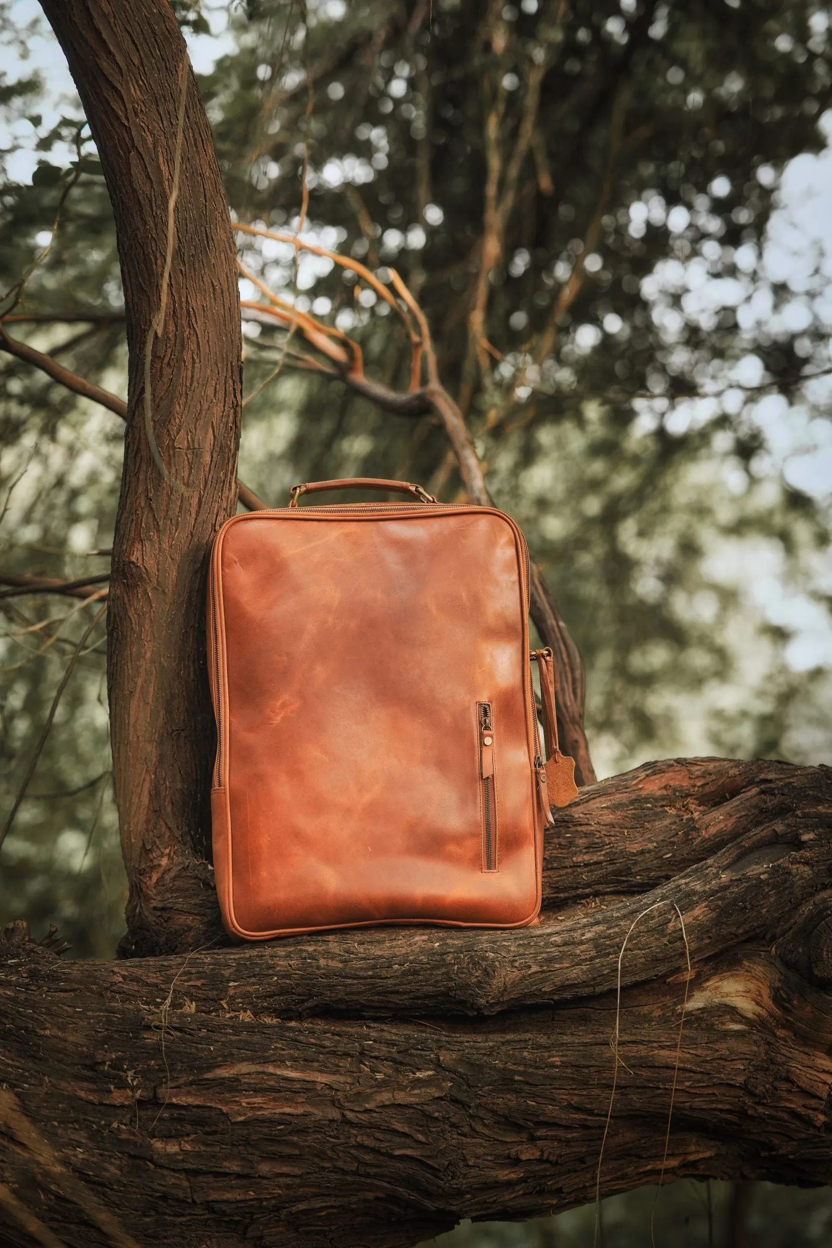 Toretos Dark Tan Backpack cum Laptop Bag